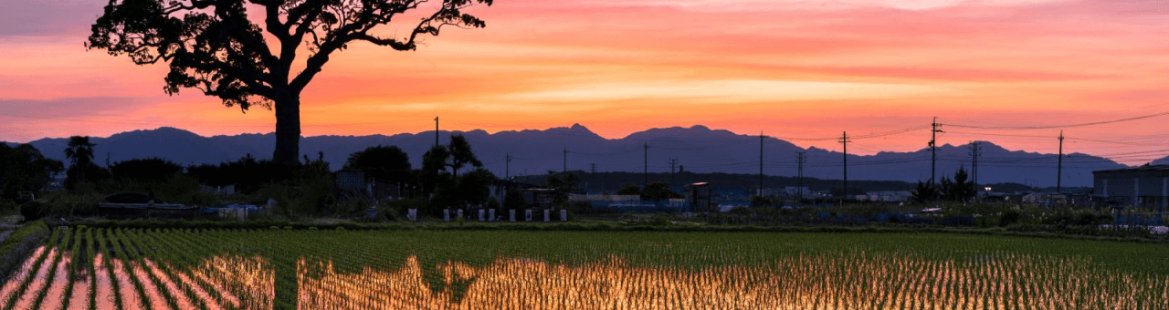 臼井建築のお客様の声