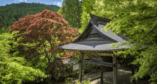 森にあるお寺